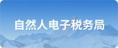 自然人電子稅務局